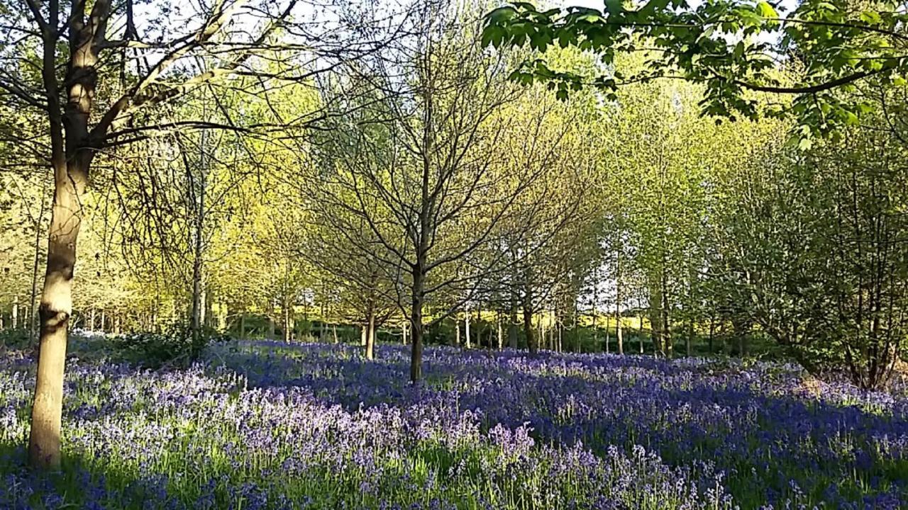 Hollicarrs - Long Lane Lodge York Buitenkant foto