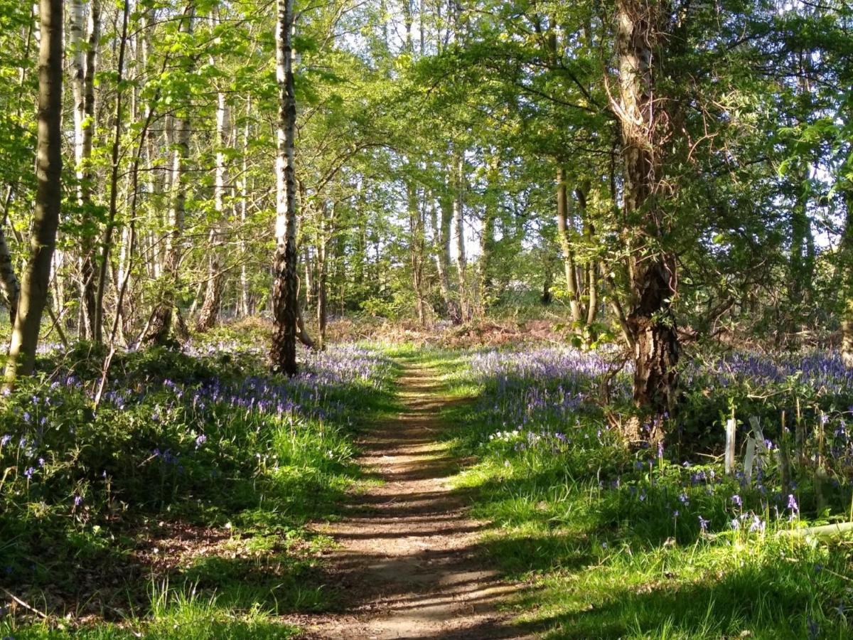 Hollicarrs - Long Lane Lodge York Buitenkant foto
